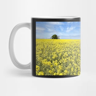 Cotswolds Rapeseed Field Mug